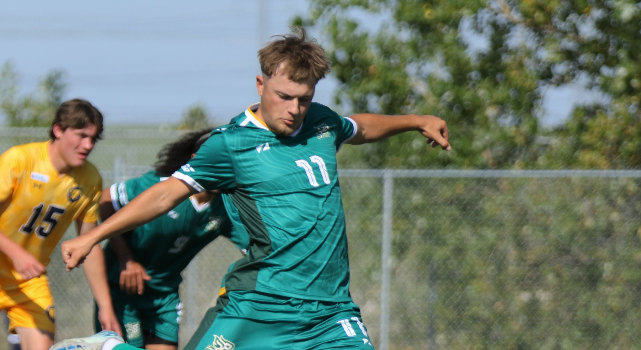 Holfeld named Male Athlete of the Week